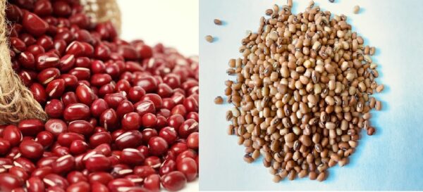 Chowri (Cow Peas or Adzuki Beans) Kobönor eller Adzukibönor